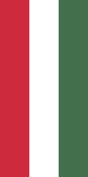 File:Flag of Hungary vertical.png